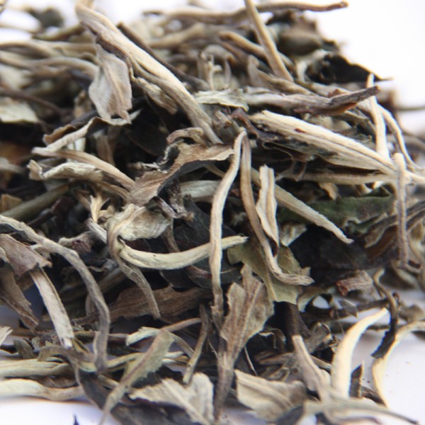 T&Eacute; BLANCO